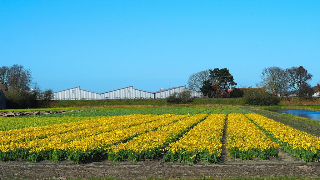 Vooral woensdag en donderdag zonnige dagen