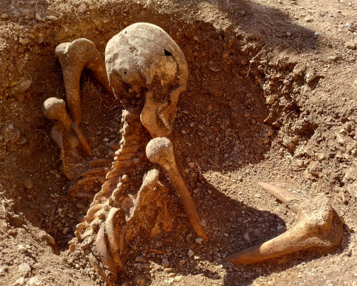 Ancient skeleton unearthed in France is latest to be found sitting upright