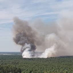 Grote brand in Limburgs natuurgebied De Rosmolen, vuurzee groeit door droogte