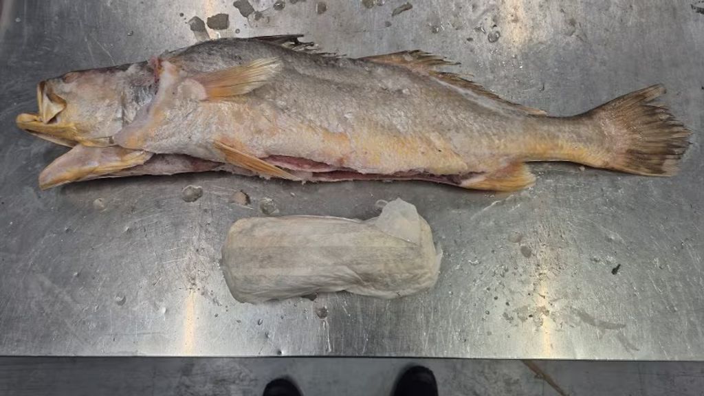 Honderden kilo's cocaïne aangetroffen in bevroren vis uit Suriname