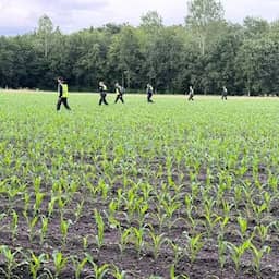 Zoekactie naar vermiste man bij Epe stopgezet vanwege wolven in gebied