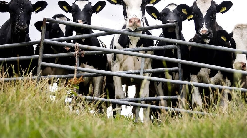 LTO vraagt overheid om extra steun voor boeren in energiecrisis