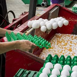 Eieren zijn enorm in prijs gestegen in de afgelopen jaren