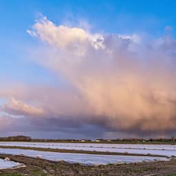 Tropische hitte én hevig onweer: 'Gaat morgen helemaal los in het oosten'