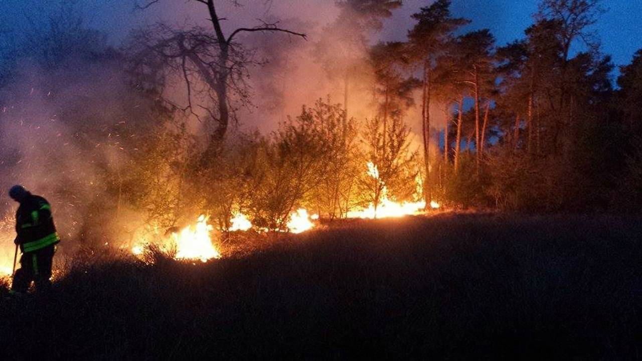 Hoogste waarschuwingsniveau: natuurbrandrisico stijgt in Brabant