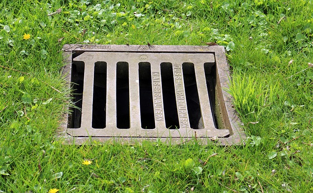 The Sewer Knows What You Ate