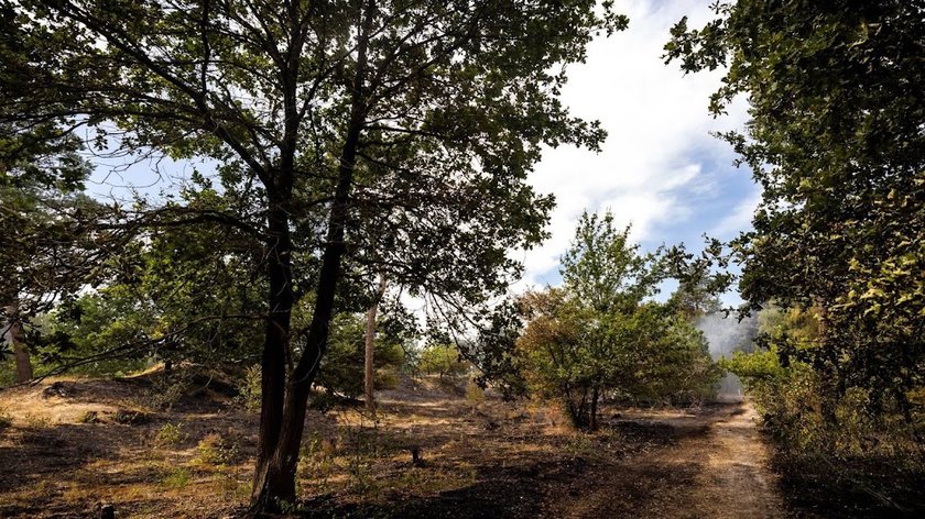 Natuurbrand Limburg breidt zich momenteel niet verder uit