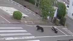 Watch: Man attacked by bear at steel works in Japan