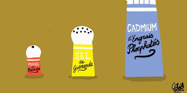 Population's cadmium overexposure requires urgent action, French food agency tells government