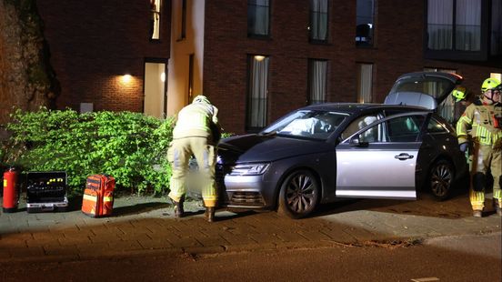 Bestuurder rijdt twee bomen omver en eindigt in een haag