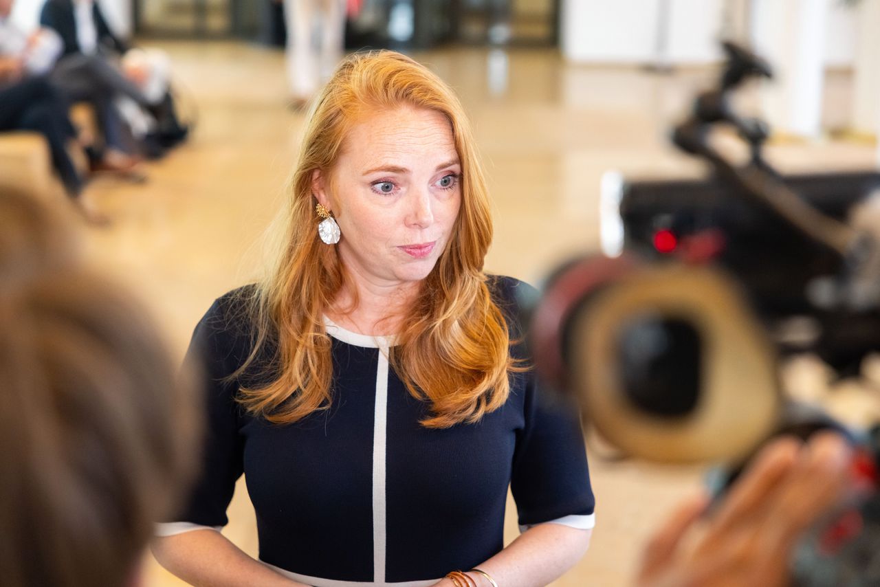 Het kabinet verbiedt de overname van Solvinity. Op basis waarvan?