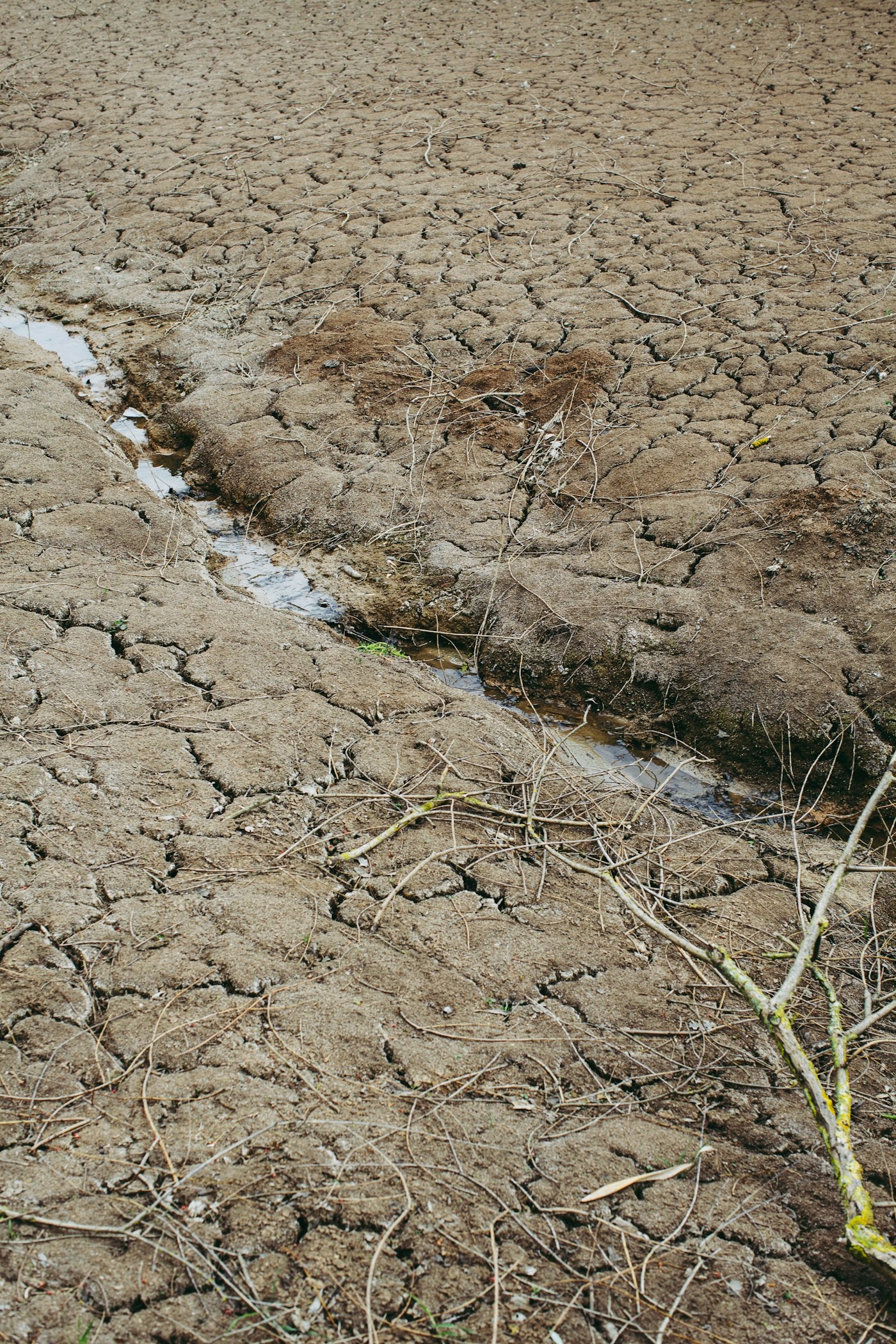 Droogte legt Europese rivieren lam: binnenvaart geremd, kerncentrales stil