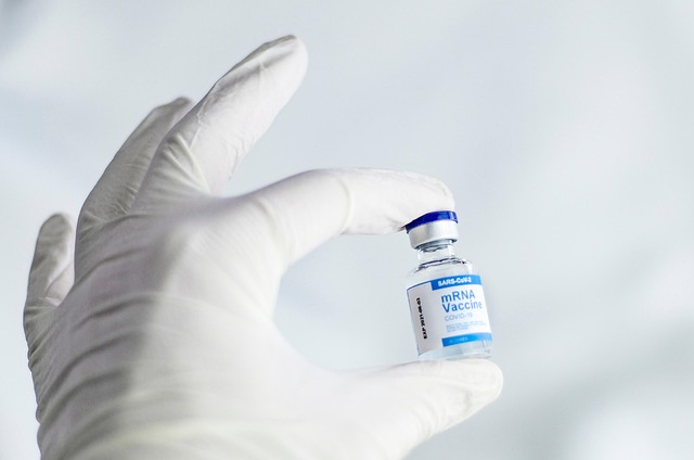 South Africa: South Africa Prepares for Potential New Adult TB Vaccine