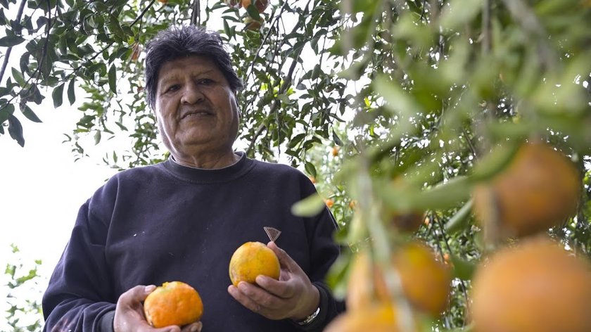 Justitie in Bolivia gelast arrestatie oud-president Evo Morales