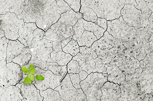 Ons drinkwater loopt gevaar