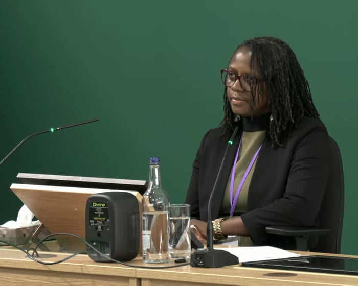 Mental health ‘system is broken’, says mother of Nottingham triple-killer