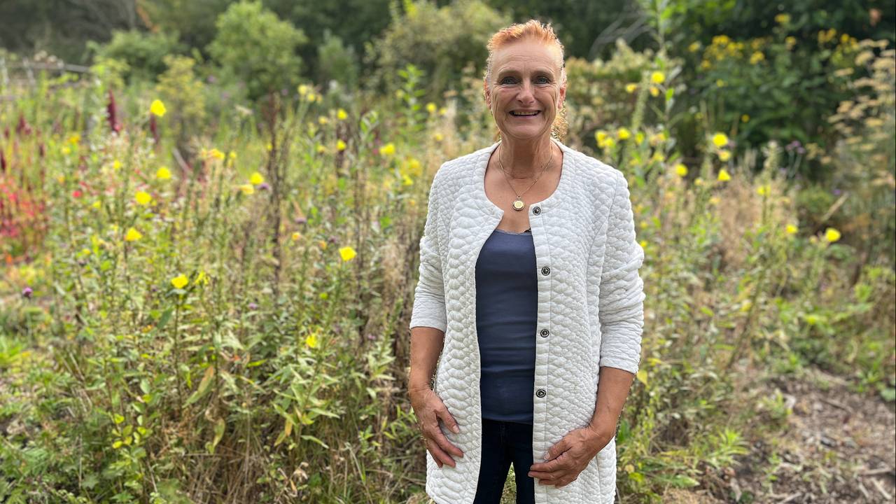Dit verborgen paradijs moet verdwijnen, eigenaresse moet tuinen weghalen