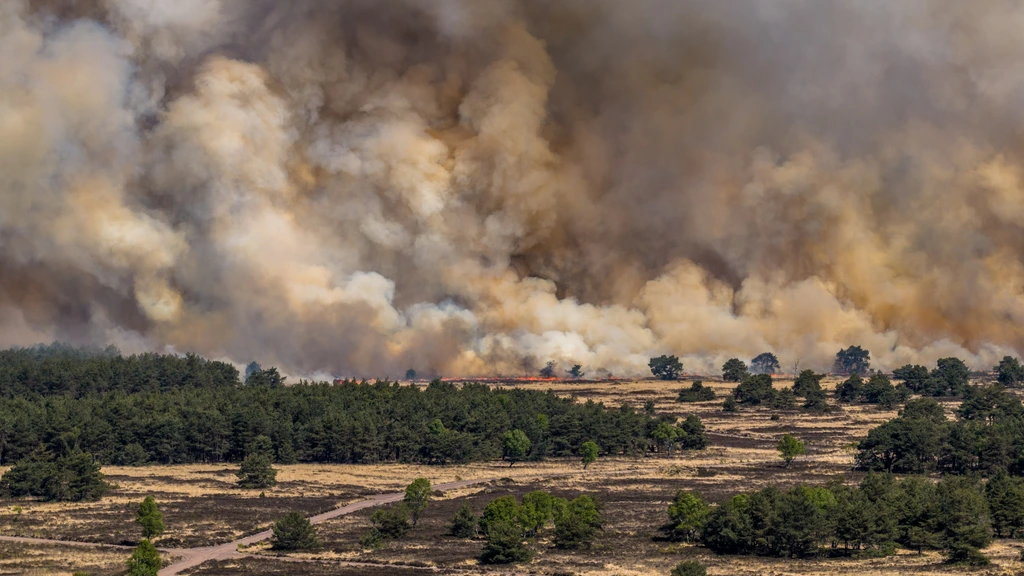 Dit is wat we nu weten over de brand op het militaire oefenterrein 't Harde