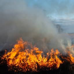 Grote natuurbrand uitgebroken op Oirschotse Heide tijdens militaire oefening