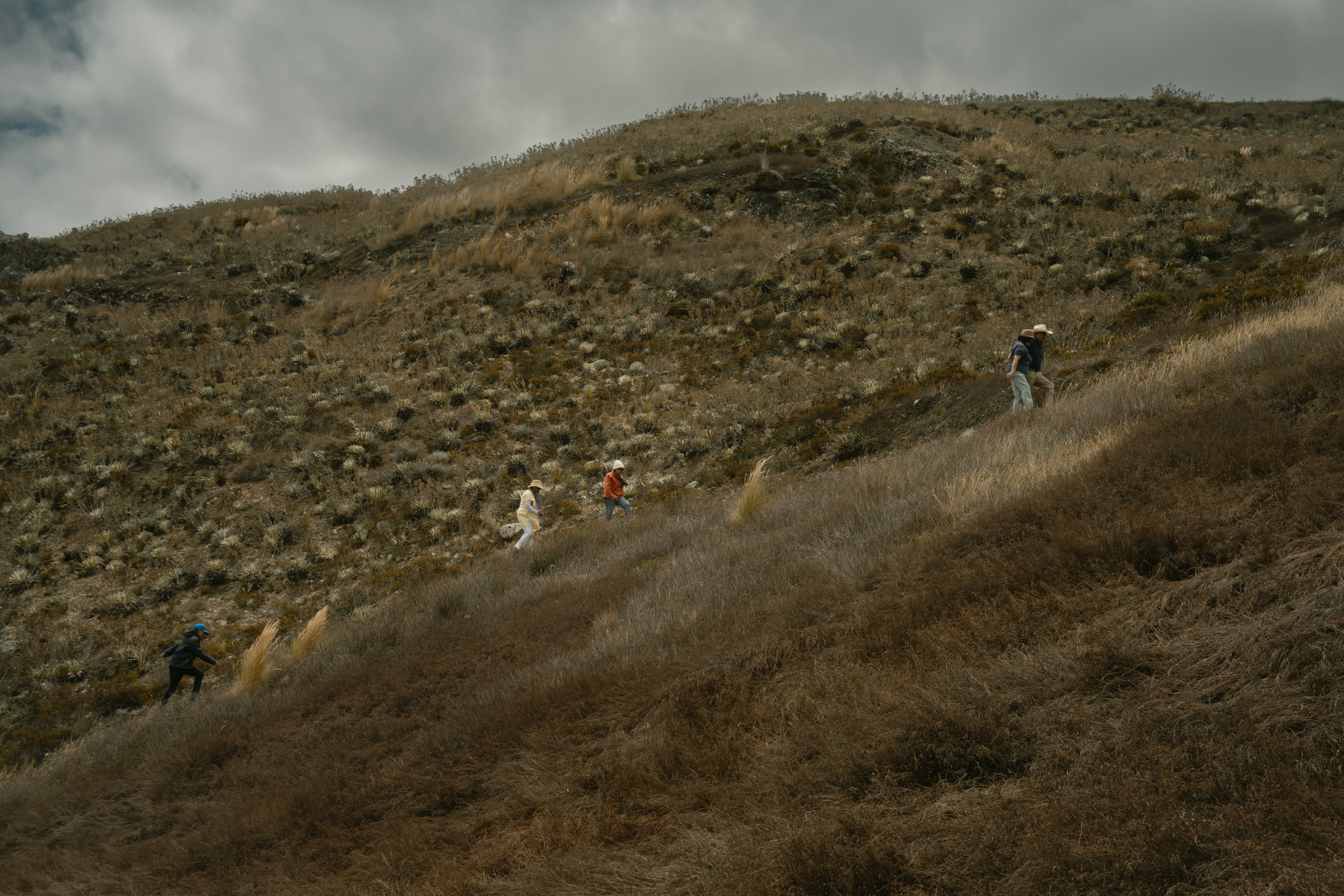 ‘Water‑sowing’: When science and ancestral knowledge join forces to fight drought in the Venezuelan Andes