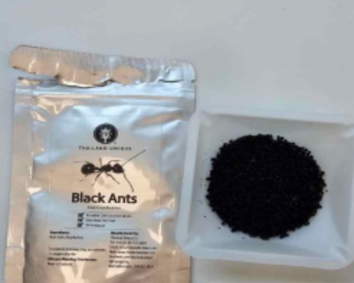 Michelin-starred restaurant owner in South Korea faces jail over ant dessert