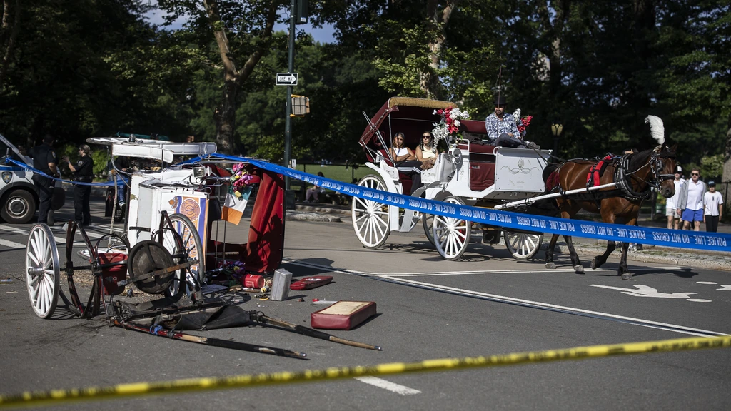 Paardenkoets op hol in New York, 18-jarige overleden