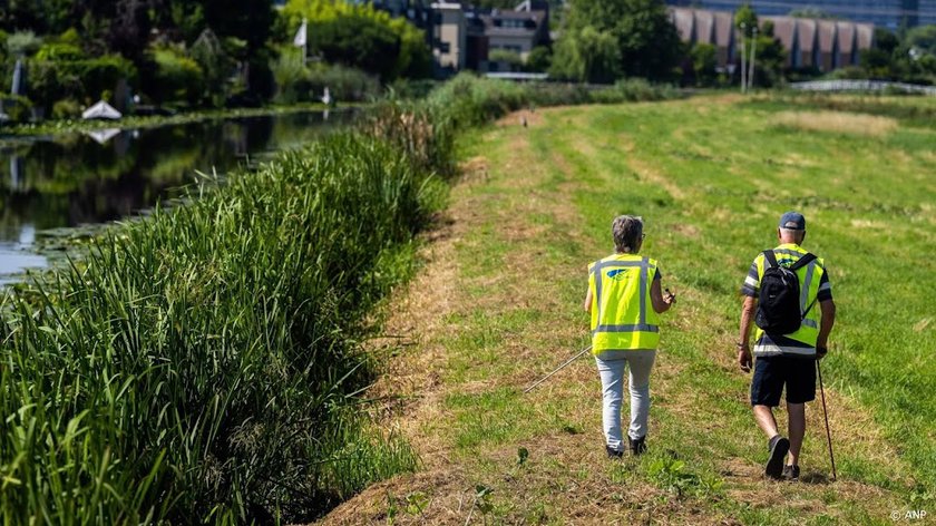 Waterschap Rijnland pakt twee dijken met scheuren aan
