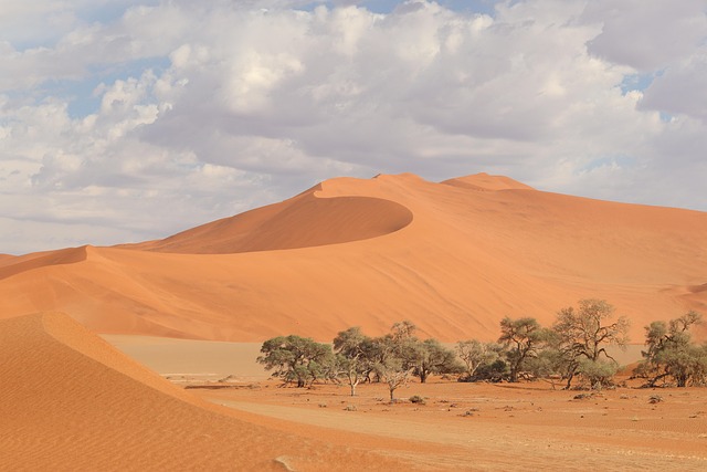 Namibia: Father Wanted for Stabbing Son to Death At Omusati