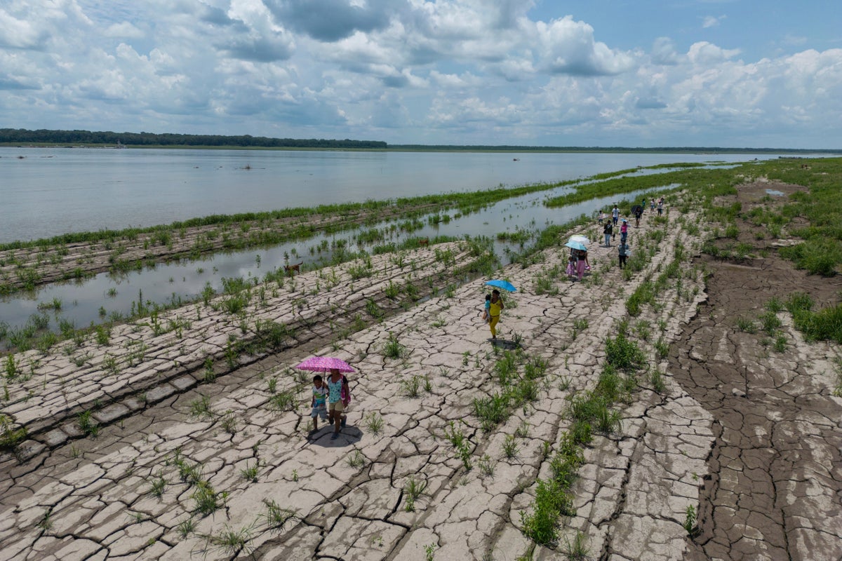 Colombia's presidential runoff could impact the future of the Amazon rainforest and fossil fuels