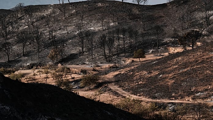 Firefighters battle major wildfire as thousands of hectares burn in central Spain