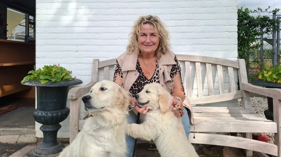 Zomerse drukte bij dierenhotel in Wijk bij Duurstede: 'Krijg geen hoofdpijn van het geblaf'