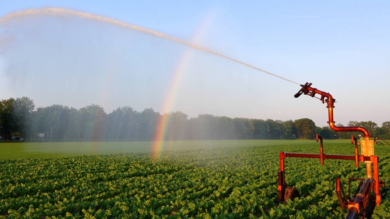Droogte dwingt waterschap tot actie: geen water meer uit deze beken