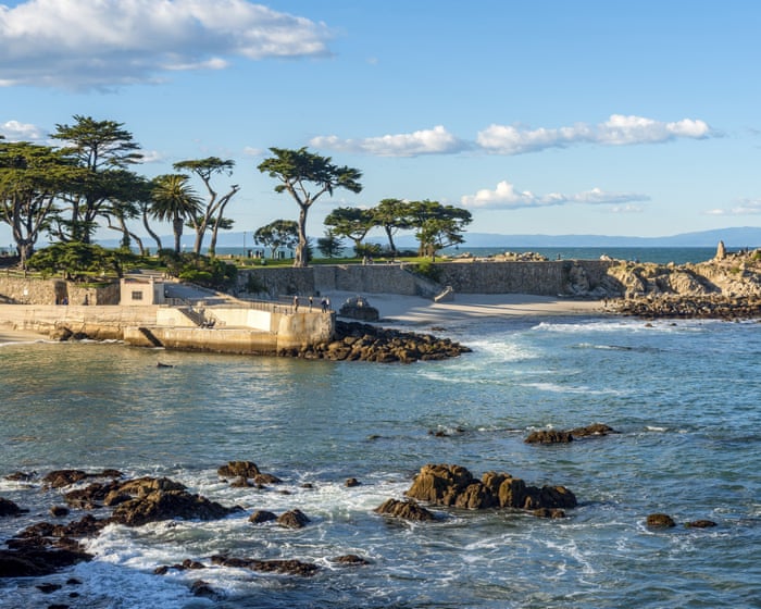 Single shark bite led to death of woman whose body was found on California beach, autopsy shows