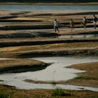 Droogte leidt in Centraal-Europa tot stilgelegde fabrieken en kernreactoren