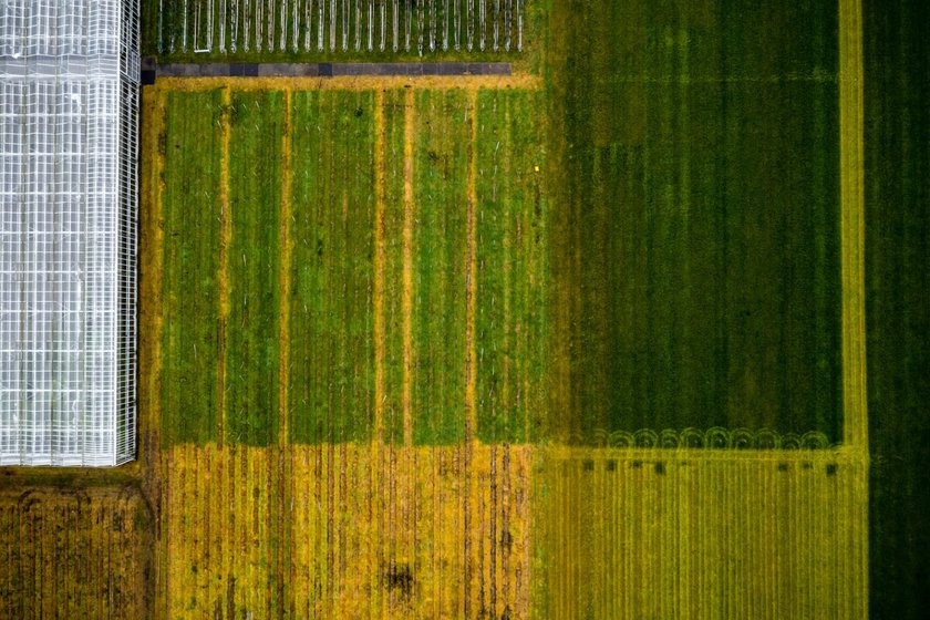 Natuurorganisaties willen convenant over minder pesticiden niet tekenen