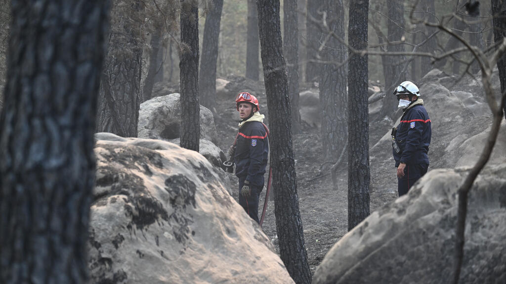 Ile-de-France region files suit for compensation over Fontainebleau forest fire