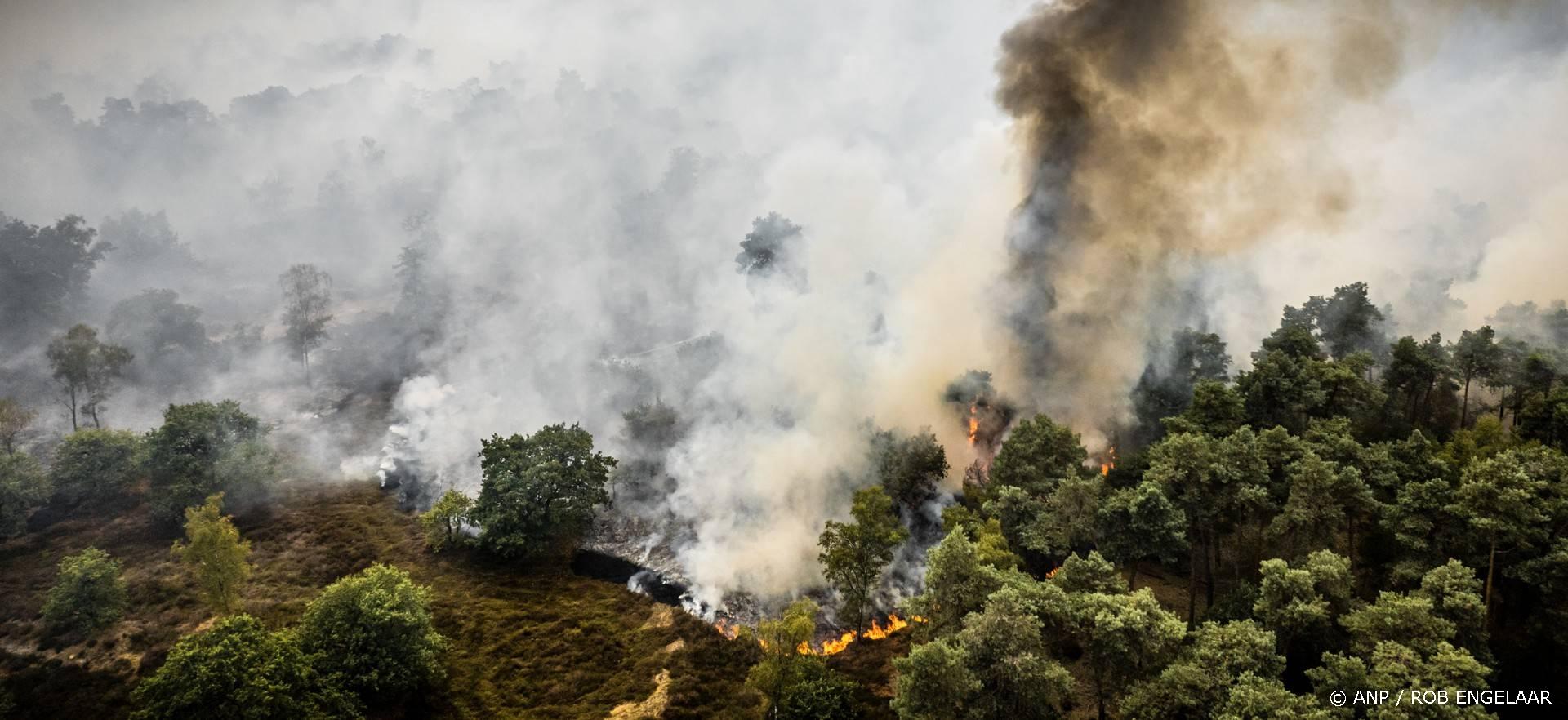 Gebied van 100 hectare getroffen door natuurbrand Noord-Limburg