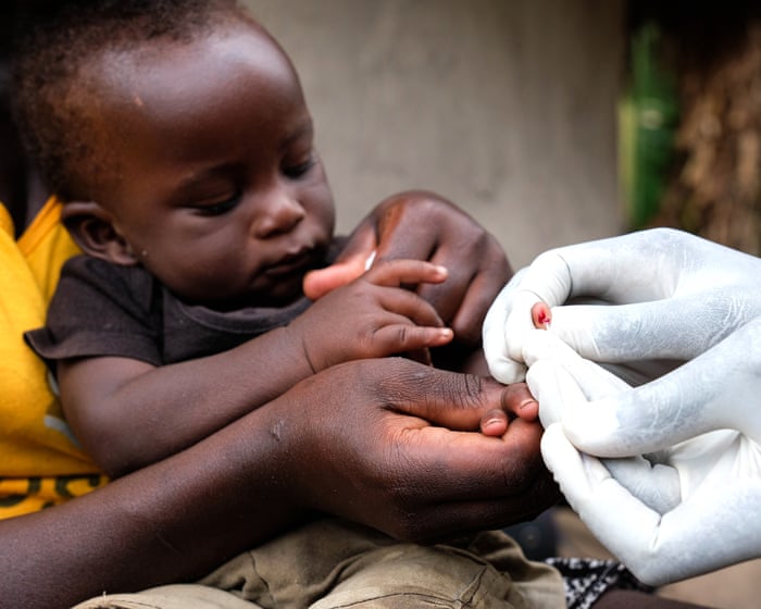 Catnip lotion as effective as Deet at repelling mosquitoes, study finds