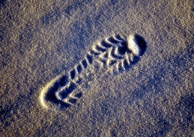 The Footprint