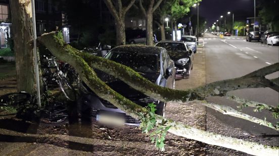 Grote tak valt op geparkeerde auto