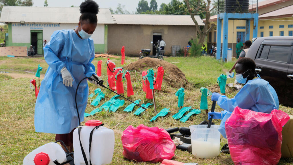 Ebola cases in DRC may be four times official tally, says WHO