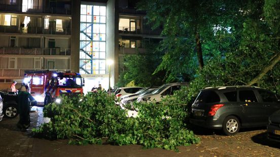 Echtpaar vindt gestolen auto terug dankzij afgebroken boomtak