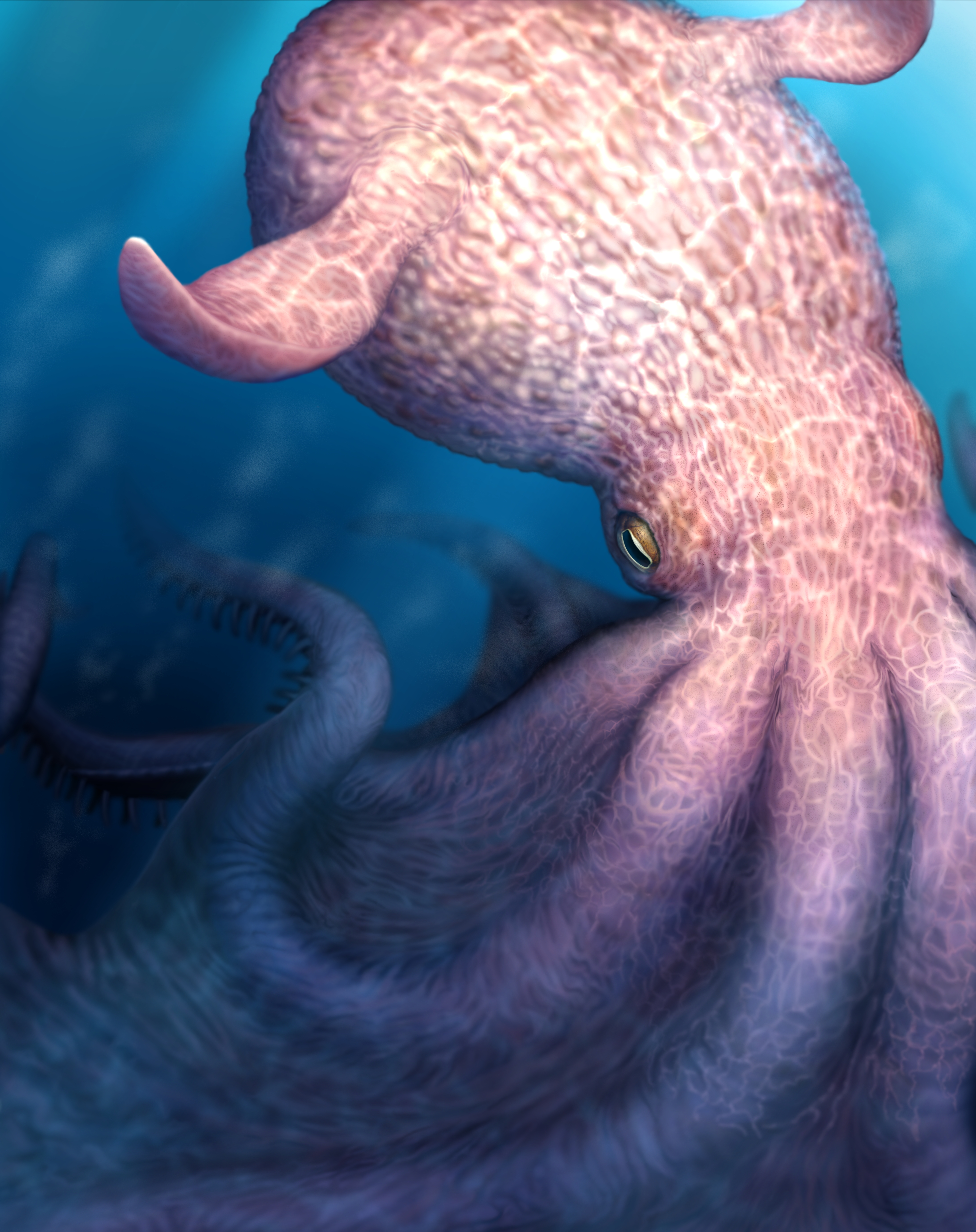A real-life Kraken stalked the seas of the late Cretaceous