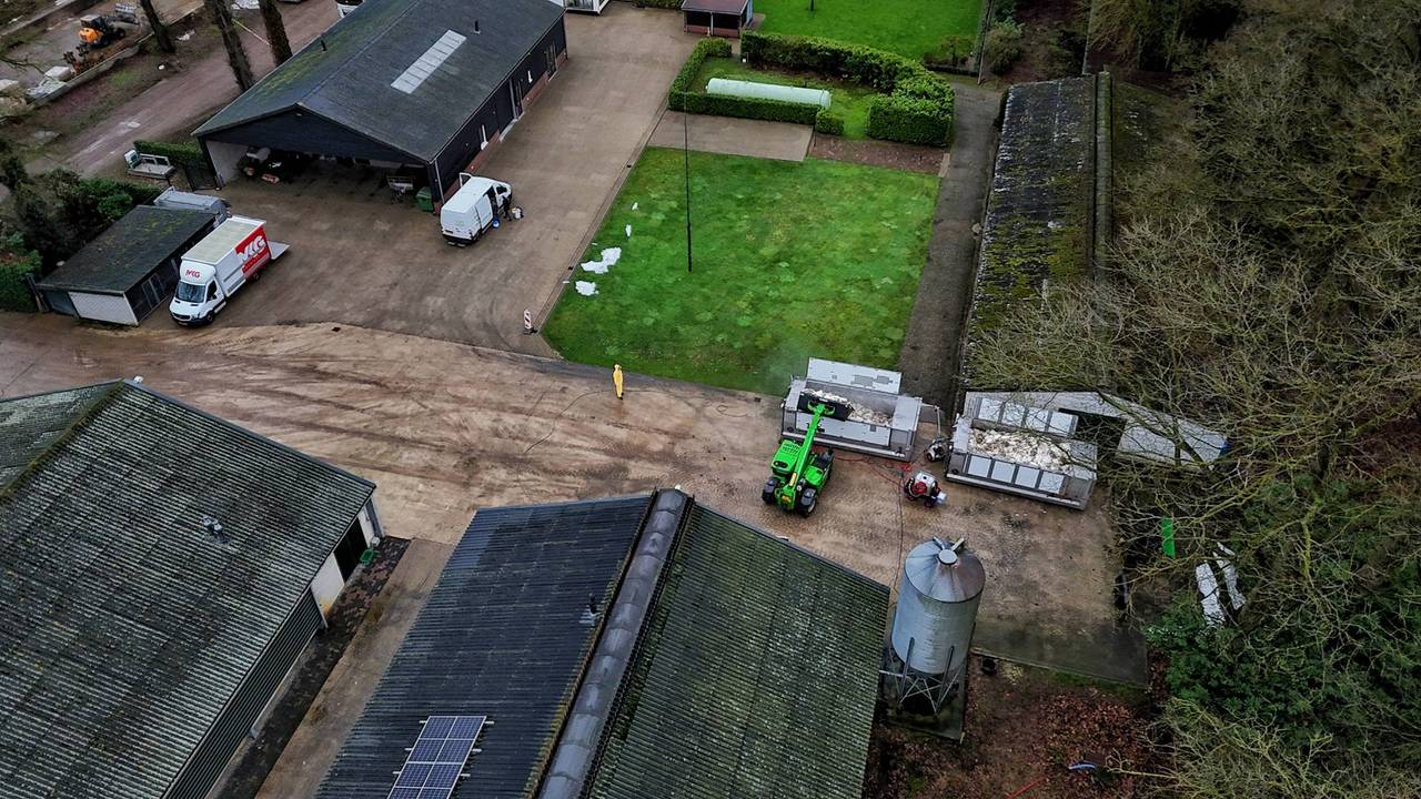 Vogelgriep bij kalkoenbedrijf in Oisterwijk: 24.000 dieren worden geruimd