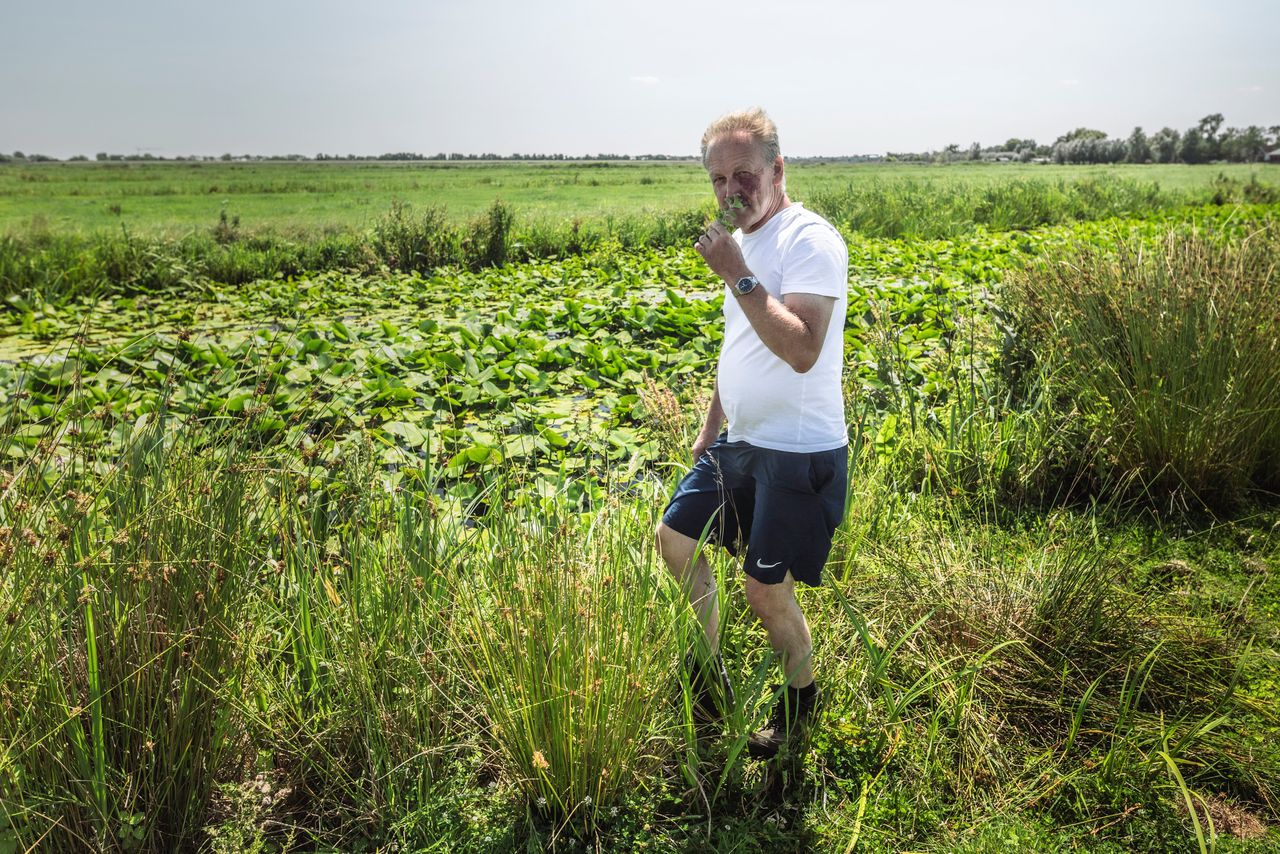 Ruim tien jaar geleden werd melkveehouder Arie een ‘natuurboer’. Nu wordt naar zijn werkwijze gekeken als oplossing in de stikstofcrisis