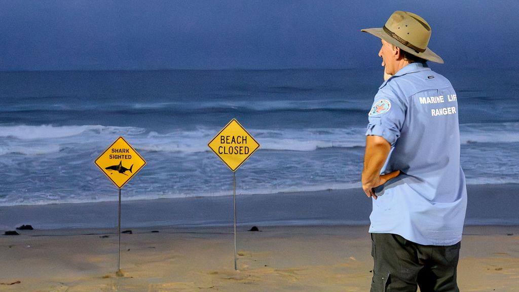 Vier haaienaanvallen in 48 uur in Australië, 'gevolg van hevige regenval'