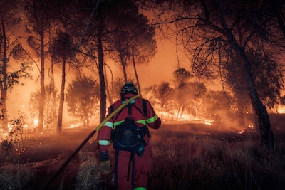 ‘Nieuwe generatie bosbrand’ laat brandweer machteloos: ‘Tegen een 50 meter hoge muur van vlammen doe je niets’