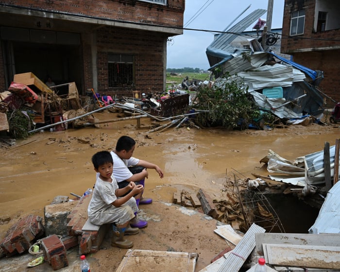 Venomous snakes escape breeding farms in southern China during flooding