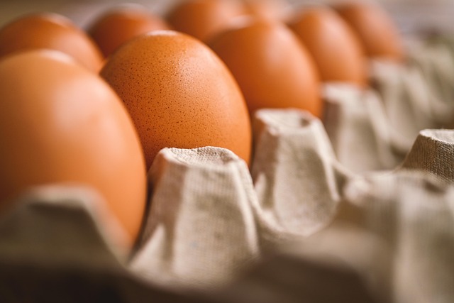 Rischio salmonella, ritirati dai supermercati Usa 19 milioni di uova