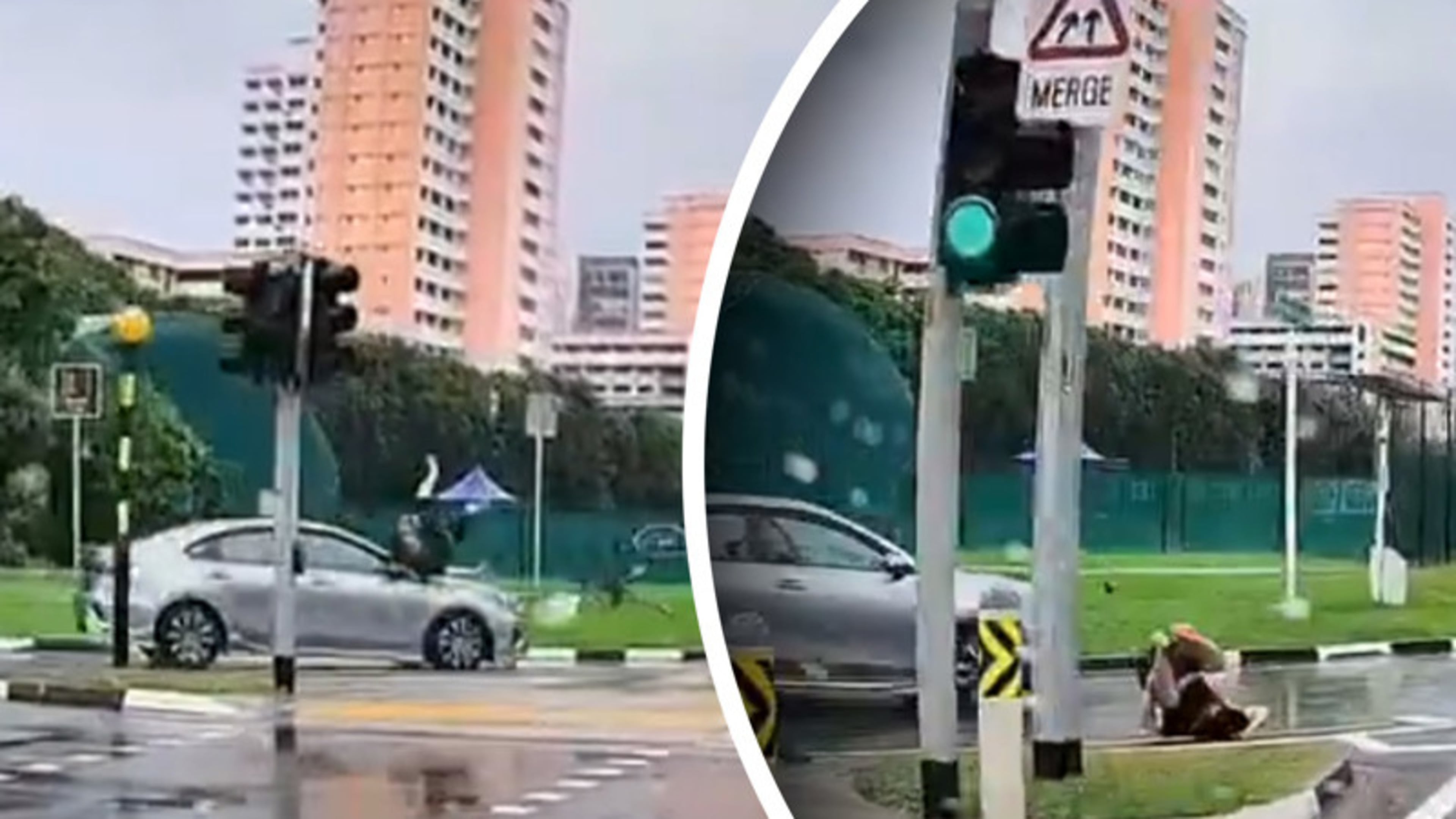 Fietser vliegt door de lucht na heftige botsing